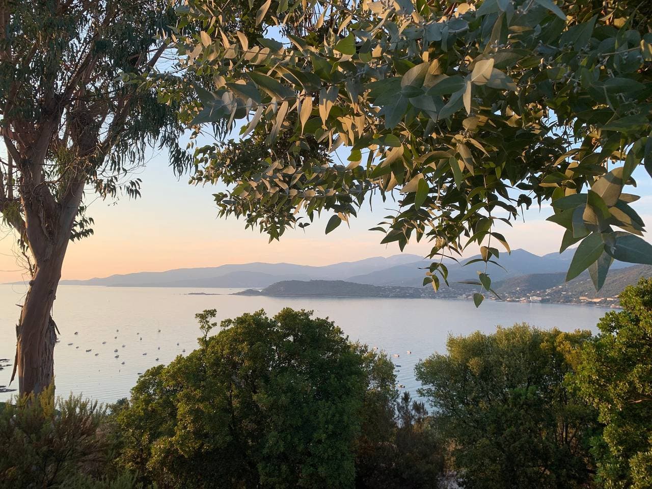 Foto 2 von 37: Ferienhaus 'Paradisiaque En Corse' mit Meerblick, privatem Pool und Wi-Fi