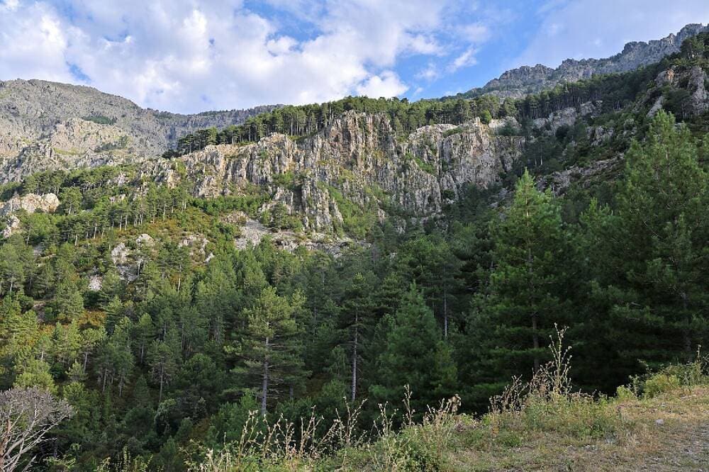 Foto 11 von 13: A Charming 4-Star Hotel In Haute-Corse<br>The luxury of taking the time