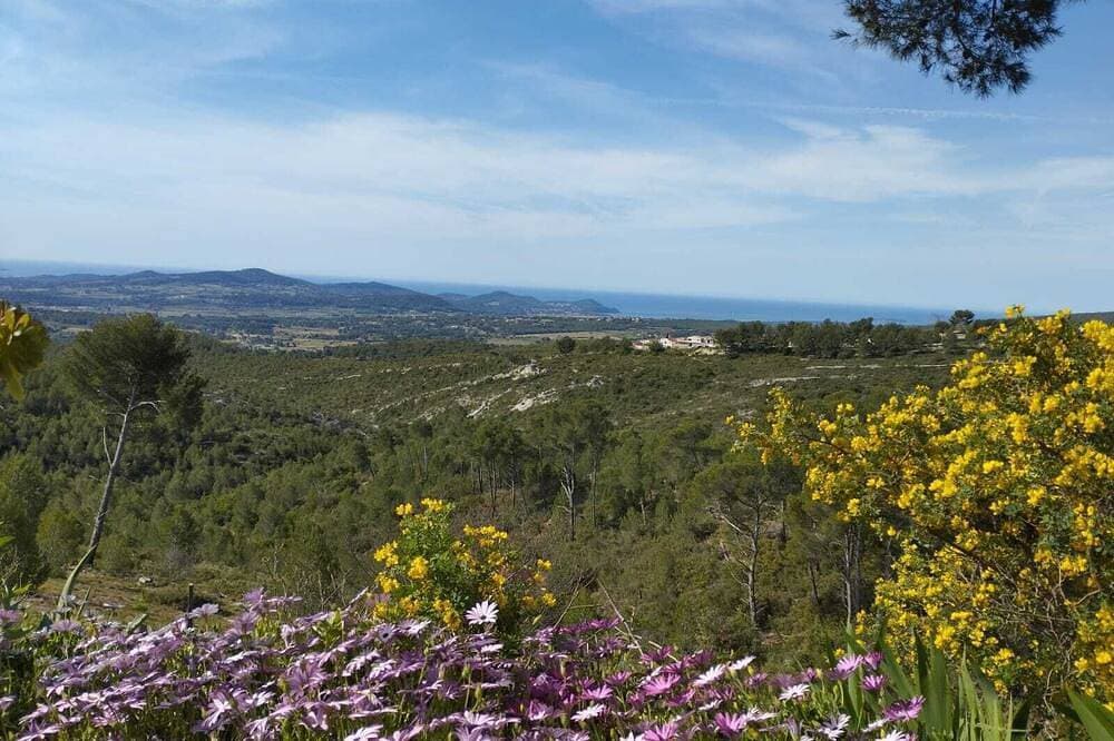Foto 13 von 20: In the shade of the Castellet pines