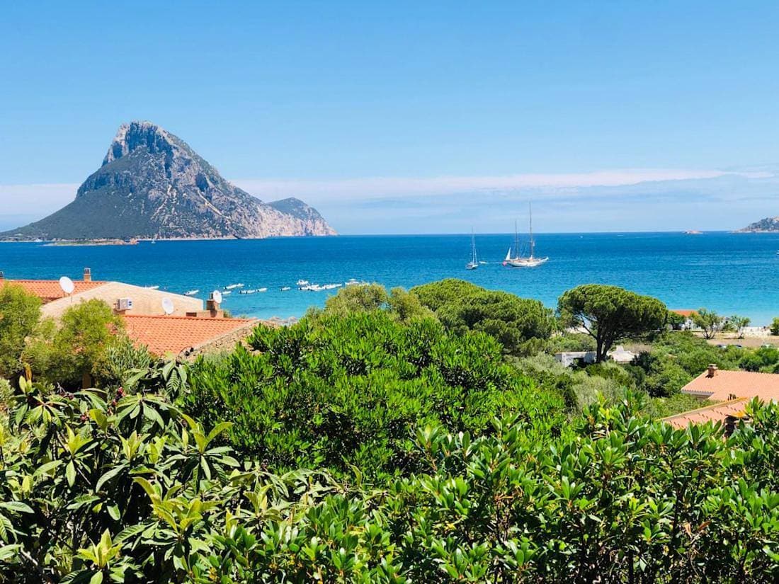 Bilocale degli Oleandri vista mare Porto Taverna 1