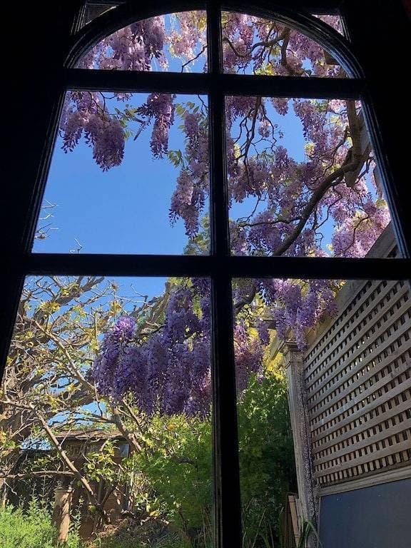 Foto 8 von 43: Schöne und Lush Versteckte Wisteria Cottage