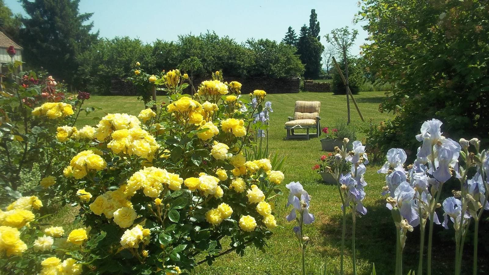 Foto 9 von 18: Bed & Breakfast 'Chambre Sauge' mit gemeinsamer Terrasse, Garten und WLAN
