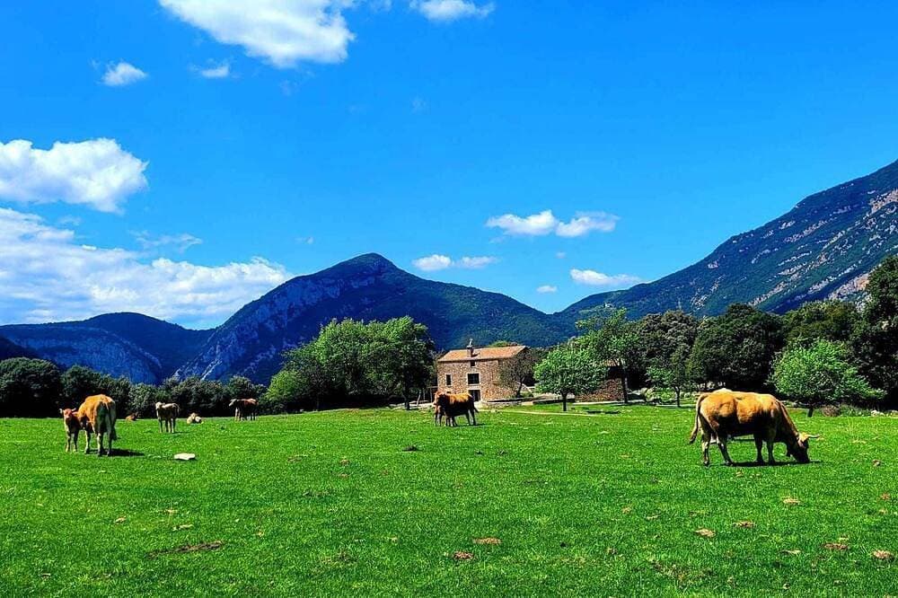 Das Hotel liegt in einem besonderen Pla D'Inter��s Natural, in der Nähe von Olot 1