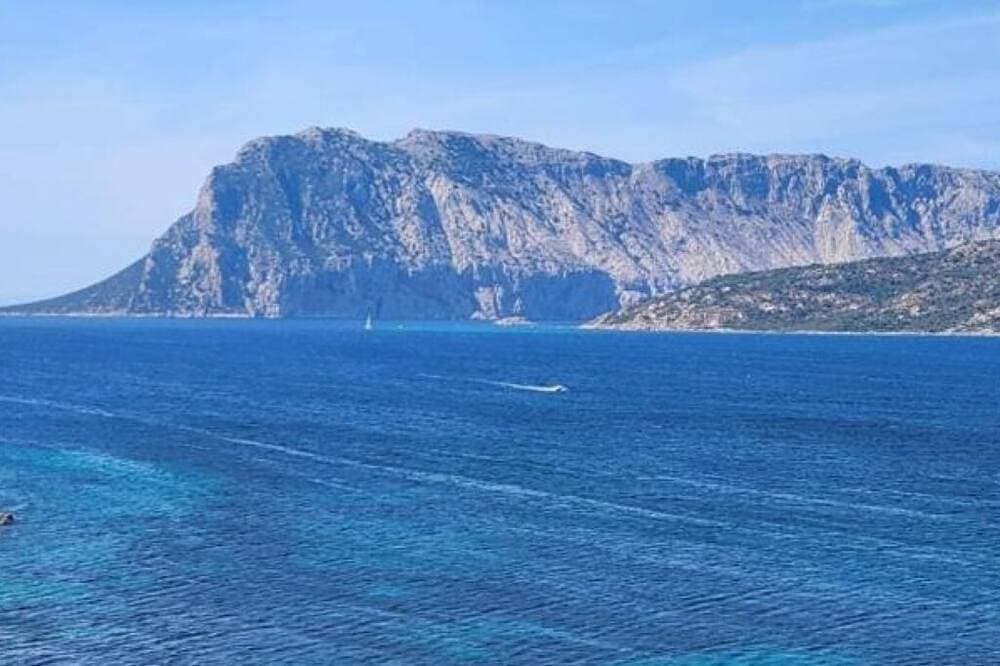 Foto 10 von 20: Wonderful view of the island of Tavolara