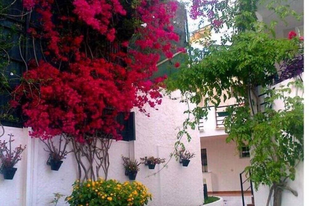 Foto 10 von 23: Ferienwohnung La Carihuela - Torremolinos