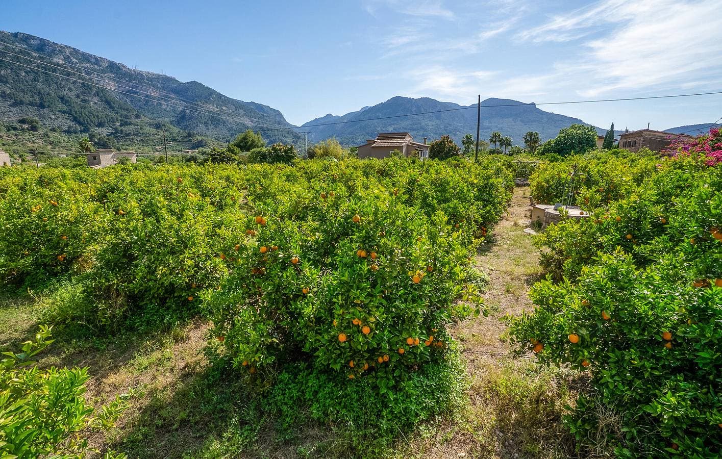 Foto 9 von 43: Sonniger Rückzugsort in Sóller mit Pool, Terrasse und Grill