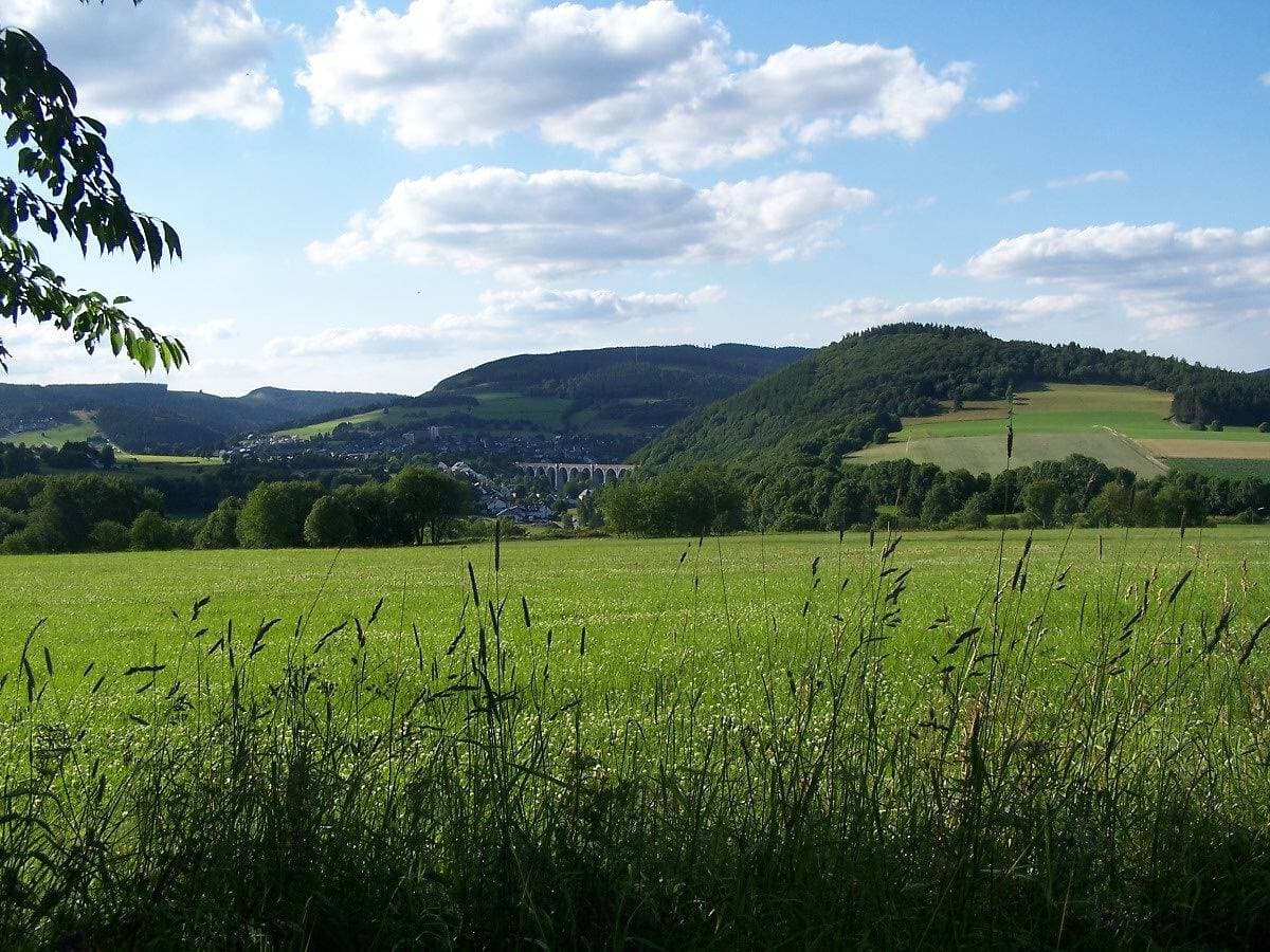 Foto 11 von 23: Ferienwohnung 'Sommerwind Am Finkenbusch' mit Bergblick, privater Terrasse und Wi-Fi