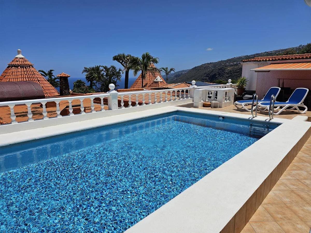 La Palmita 1