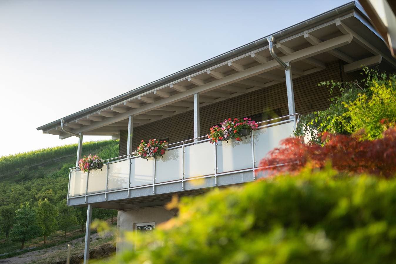 Ferienwohnung Baßler Weinberg 1