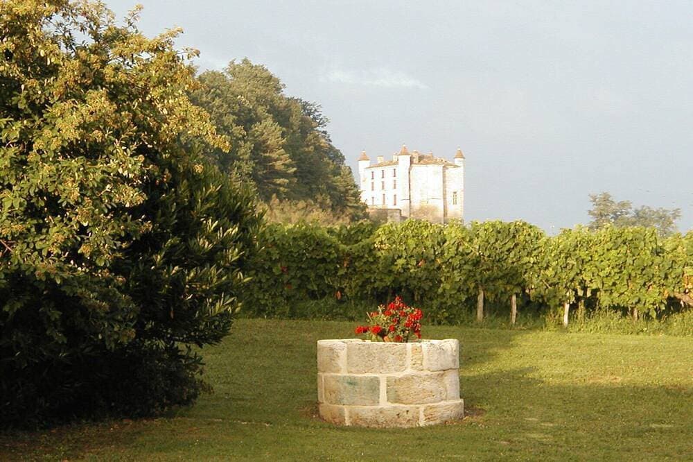 Foto 5 von 16: Bed & Breakfast mit Charakter in den Weinbergen, 13 km von Saint-Emilion entfernt