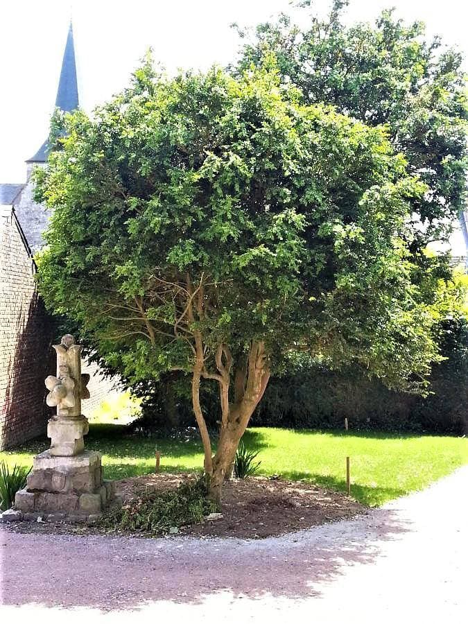 Foto 3 von 28: Chambre Yport
