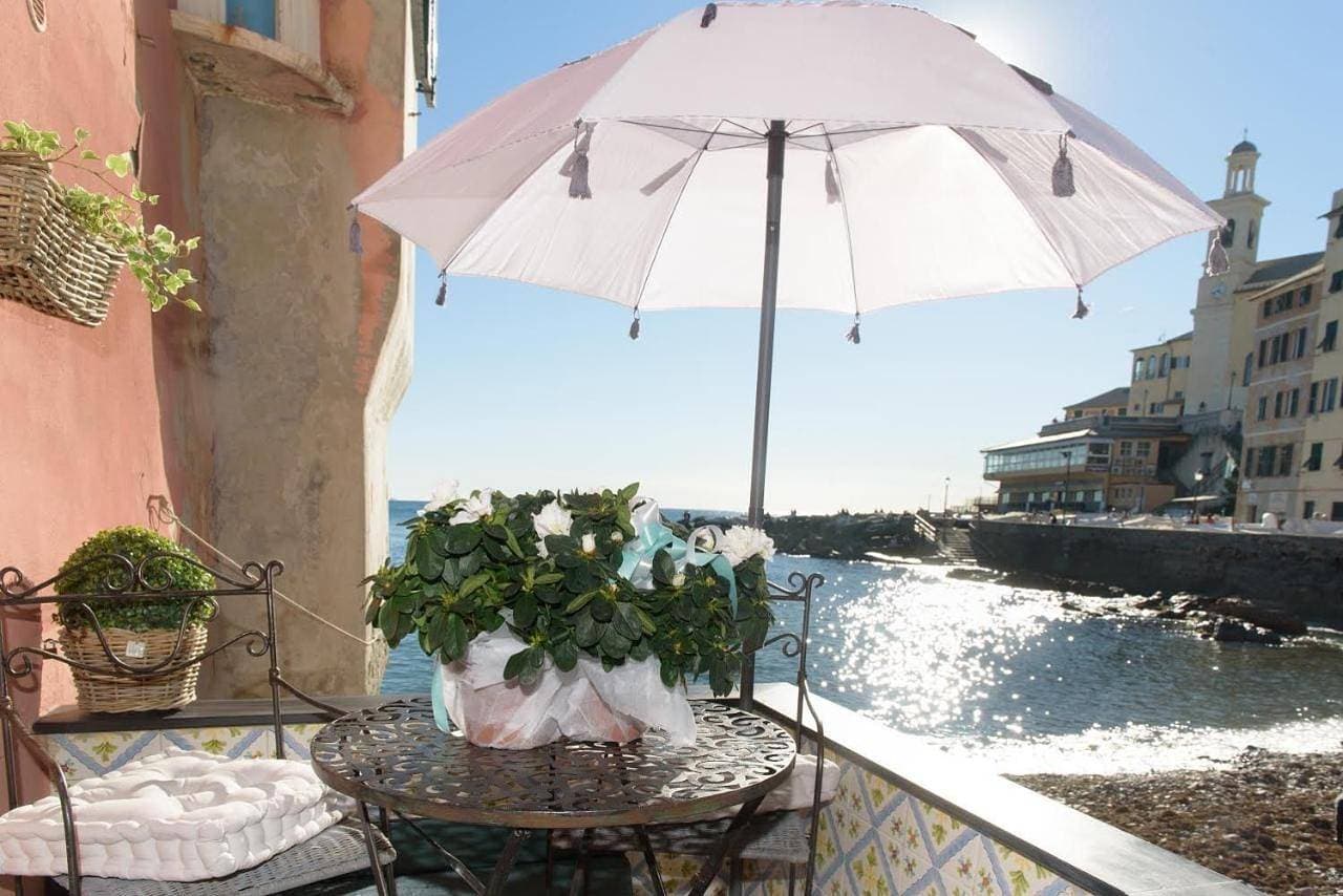 Salsedine Relais 1