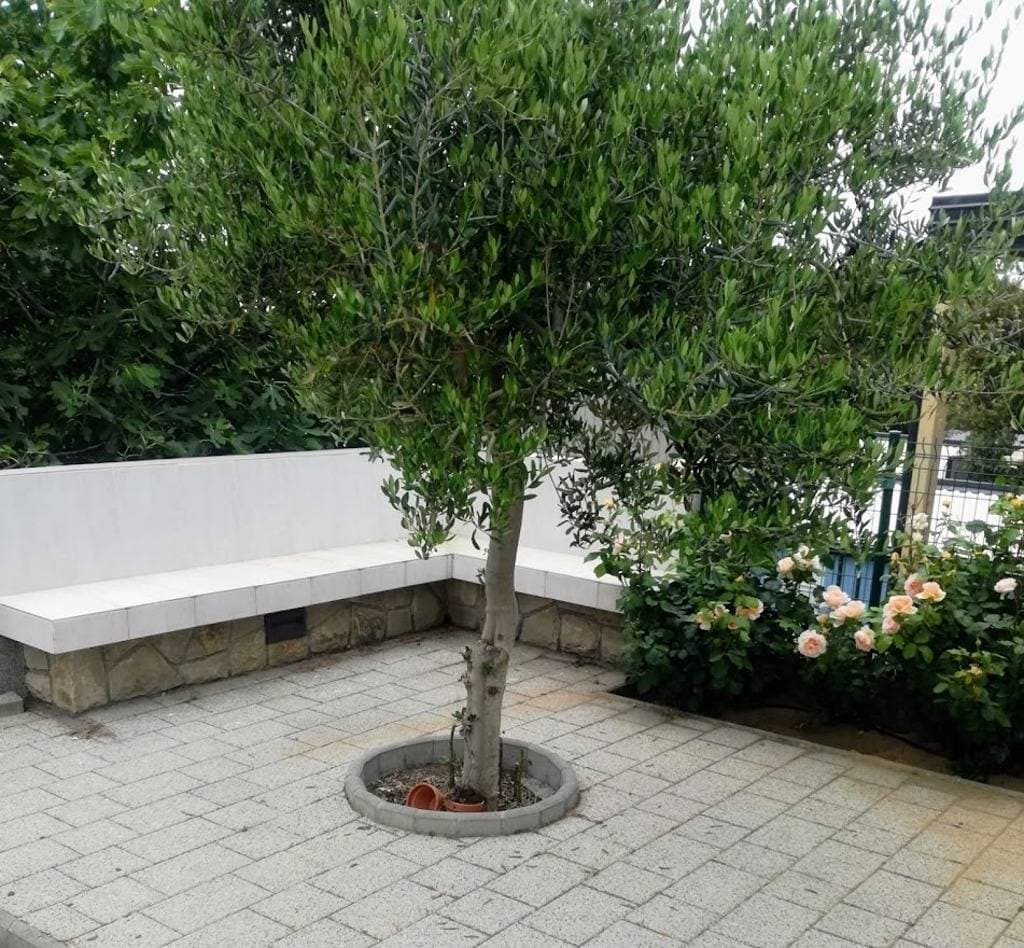 Foto 7 von 21: 2-Zimmer-Ferienwohnung mit Terrasse Banjol, Rab A-12838-b