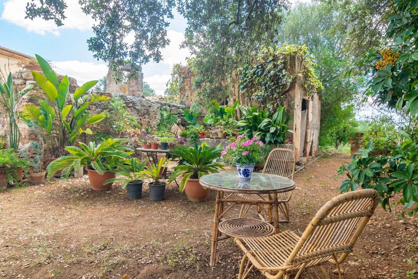Foto 10 von 41: Son Mayol 2 - Wunderbare private Wohnung in ländlicher Umgebung, in einem Agrotourismus-Anwesen, mit Gemeinschaftspool und kostenfreiem WLAN.