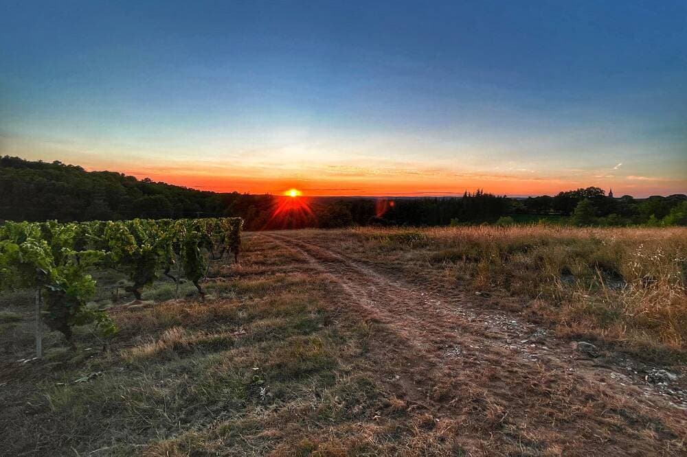 Foto 13 von 18: Country house surrounded by vineyards close to amenities