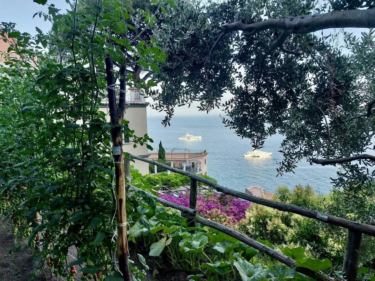 Foto 6 von 8: Haus mit Zitronenhain und Meerblick in Atrani