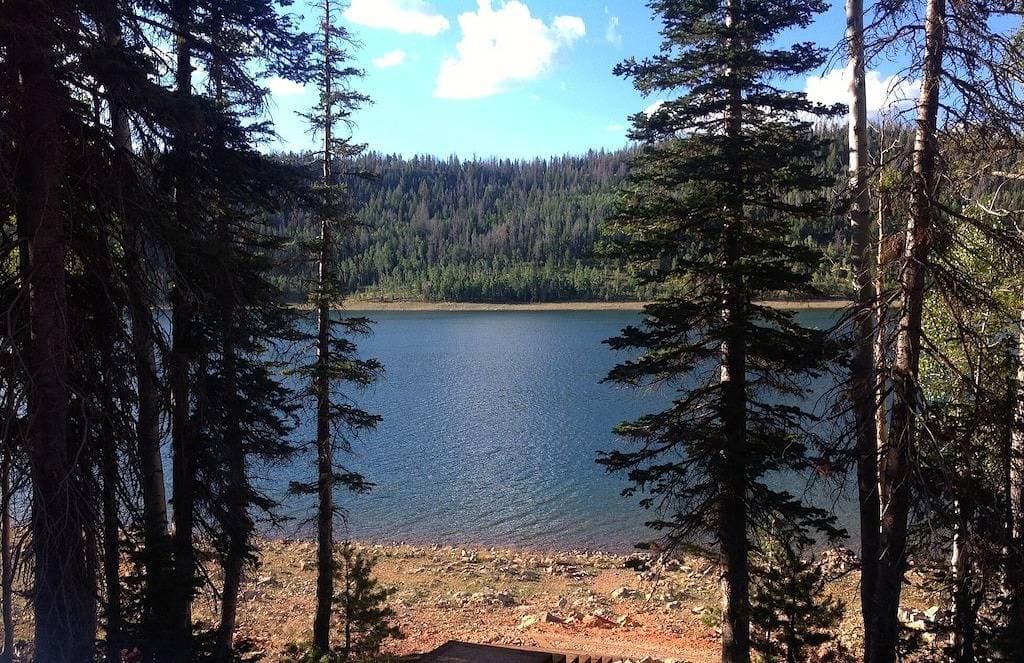 Foto 8 von 49: Fabulous Find / Neu King CozyCondo Eingebettet in thePines / Hikn '/ Central / Bryce / ZionGem