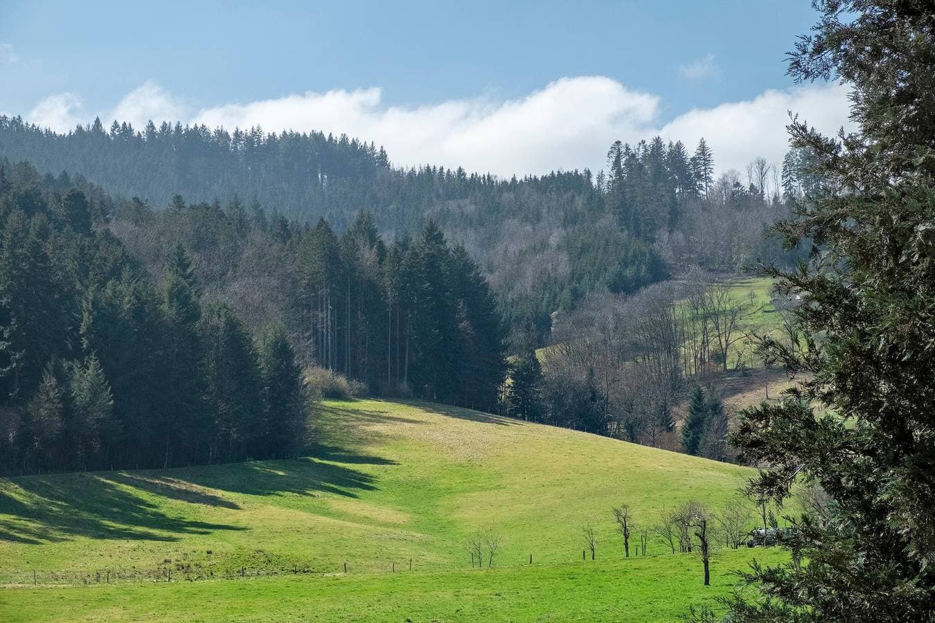 Foto 4 von 37: Ferienwohnung Bergquelle mit Bergblick, privater Terrasse und Wi-Fi