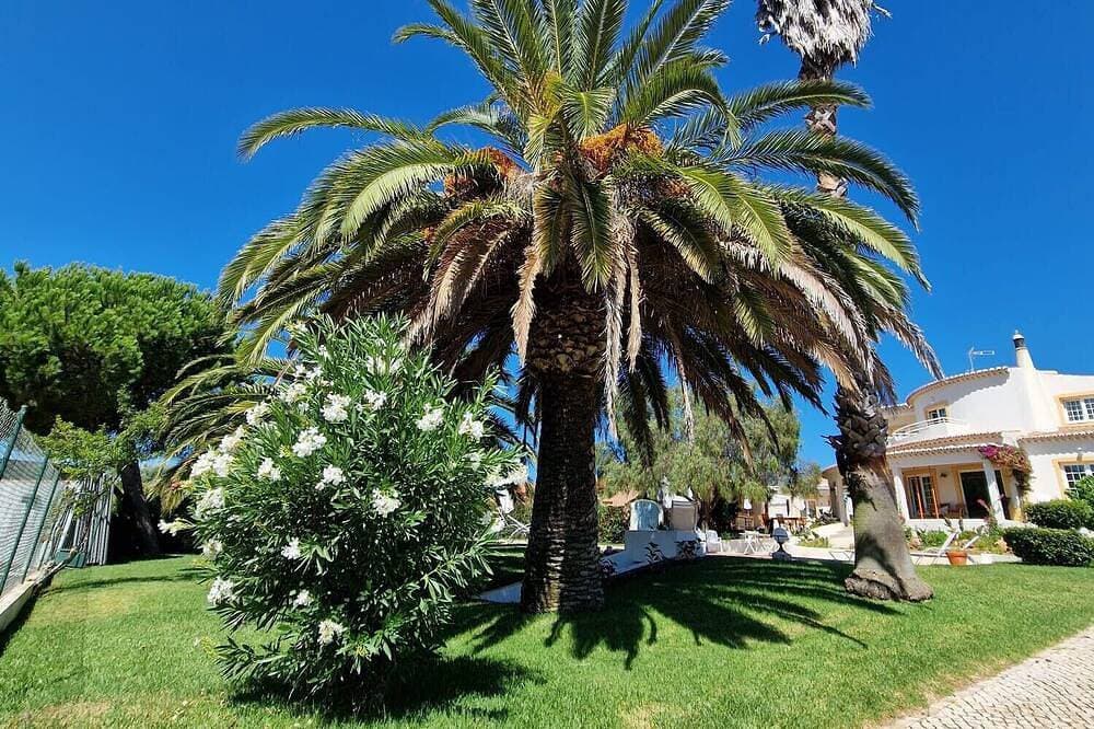 Foto 13 von 27: A south-facing, Mediterranean-style villa on 2 levels, walled and gated in a tranquil country setting, yet only 10 minutes from the popular historic, seafront city of Lagos in the Western Algarve