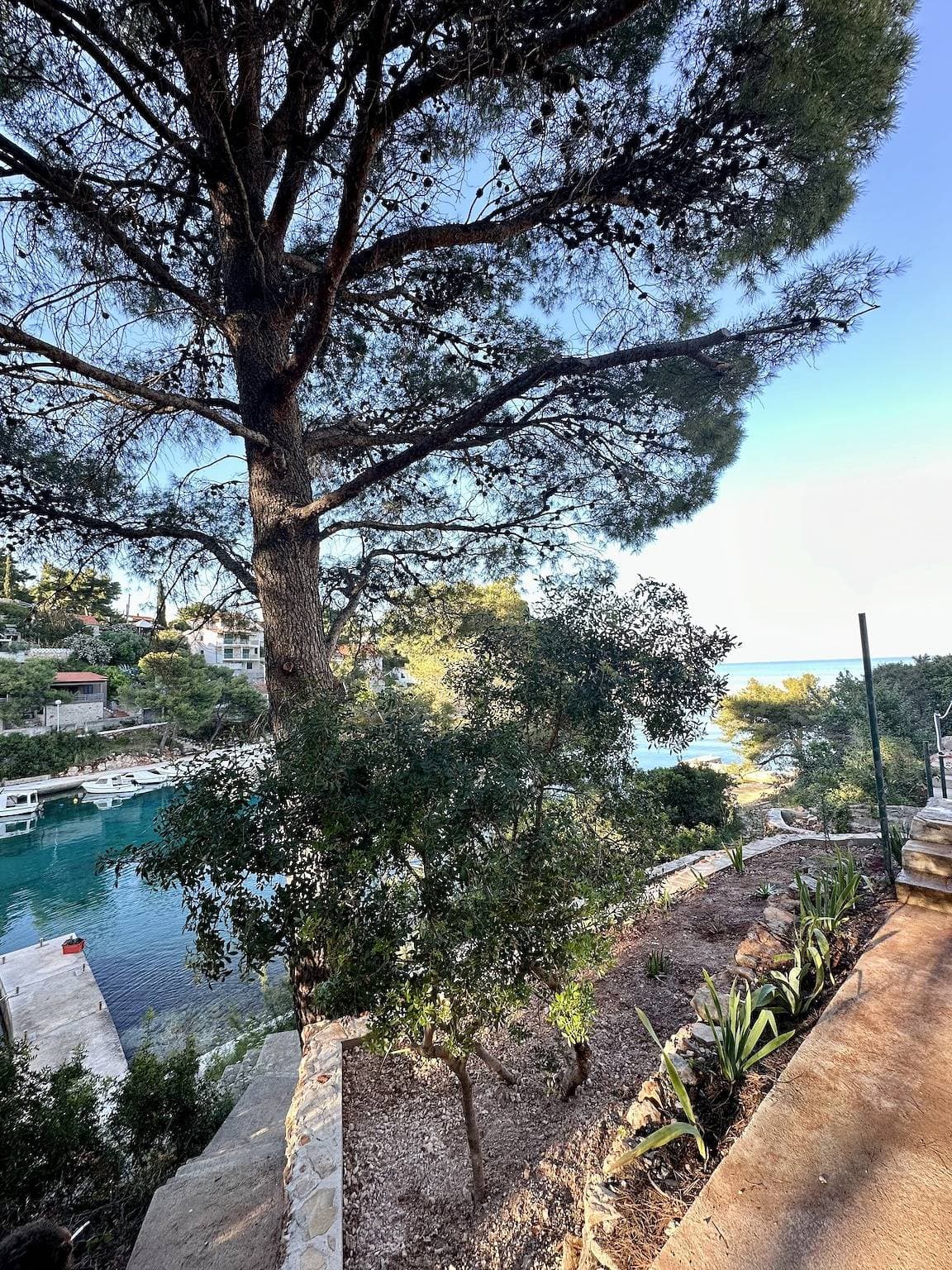 Foto 7 von 42: 1-Zimmer-Ferienwohnung am Strand Basina, Hvar A-24120-b