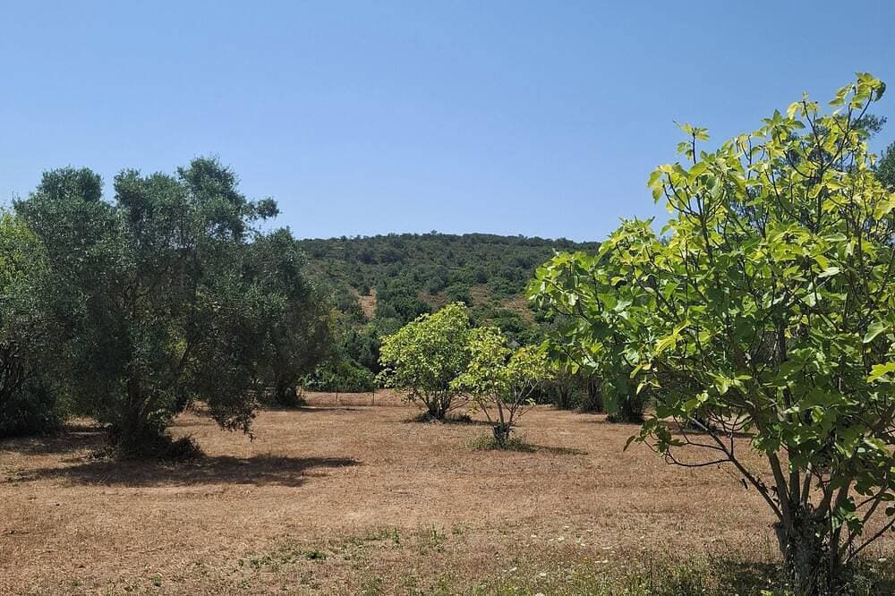 Foto 7 von 11: Couple Poco Novo Glamping Lodge in Loulé Algarve for 1-2 people