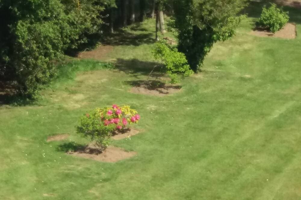 Foto 10 von 30: Ferienhaus mit Charme in einem Landschaftsgarten mit Blick aufs Meer