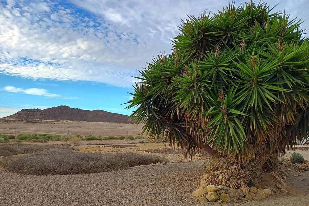 Foto 6 von 12: Zimmer 'Calabaza' mit Bergblick, WLAN und Klimaanlage