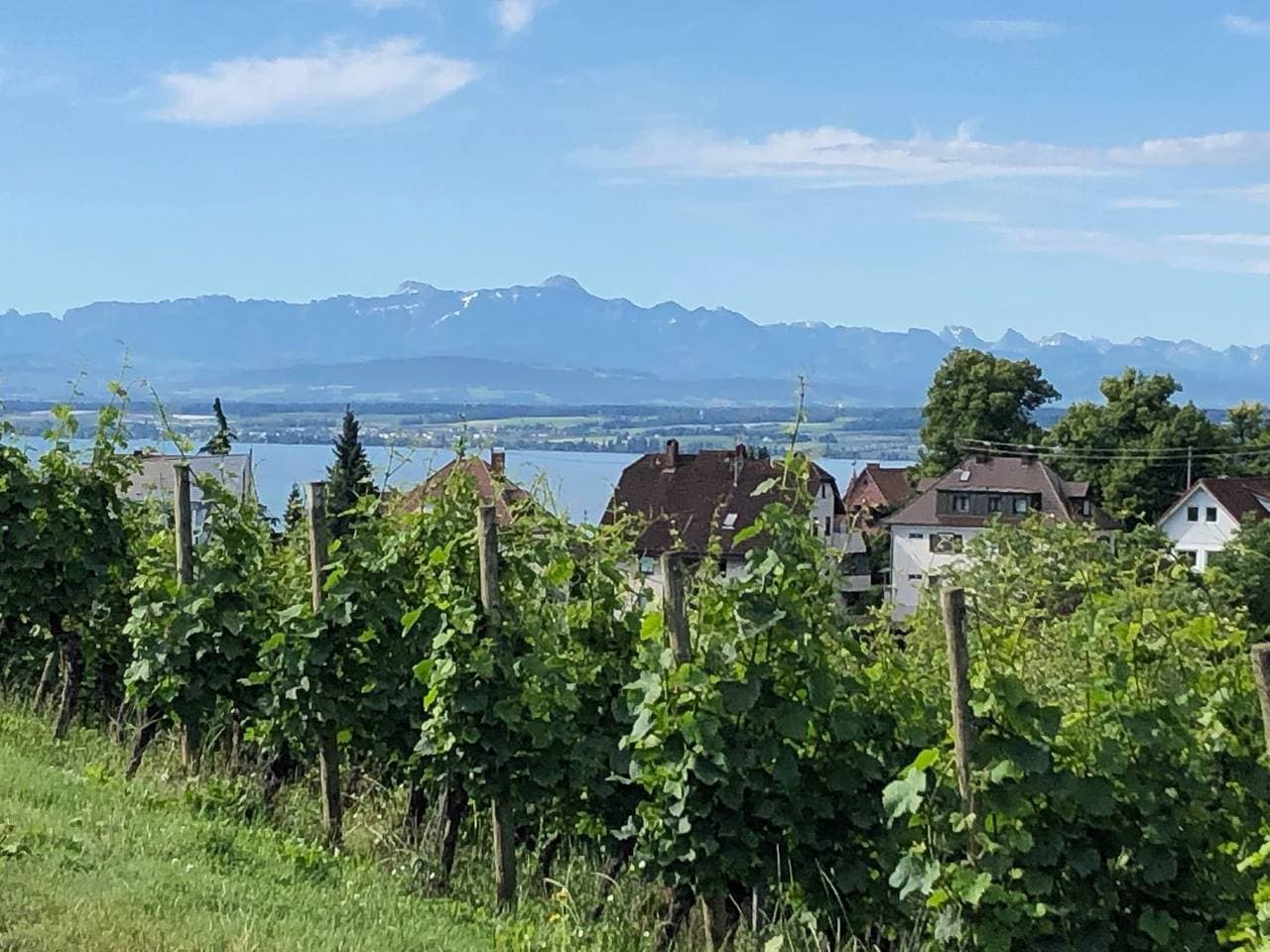 Foto 12 von 13: Ferienwohnung Finkenweg in Meersburg