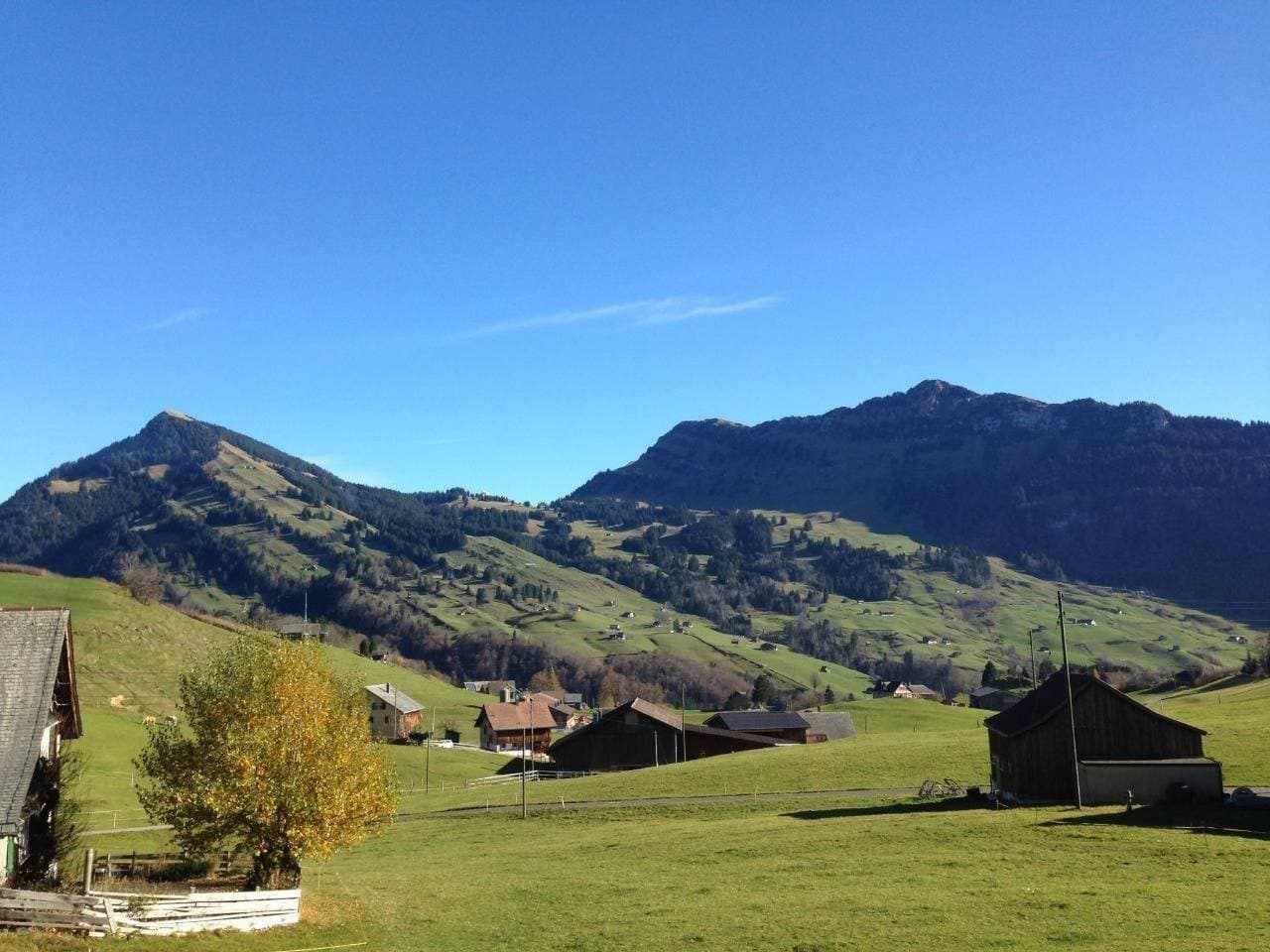 Foto 9 von 35: Seuzach