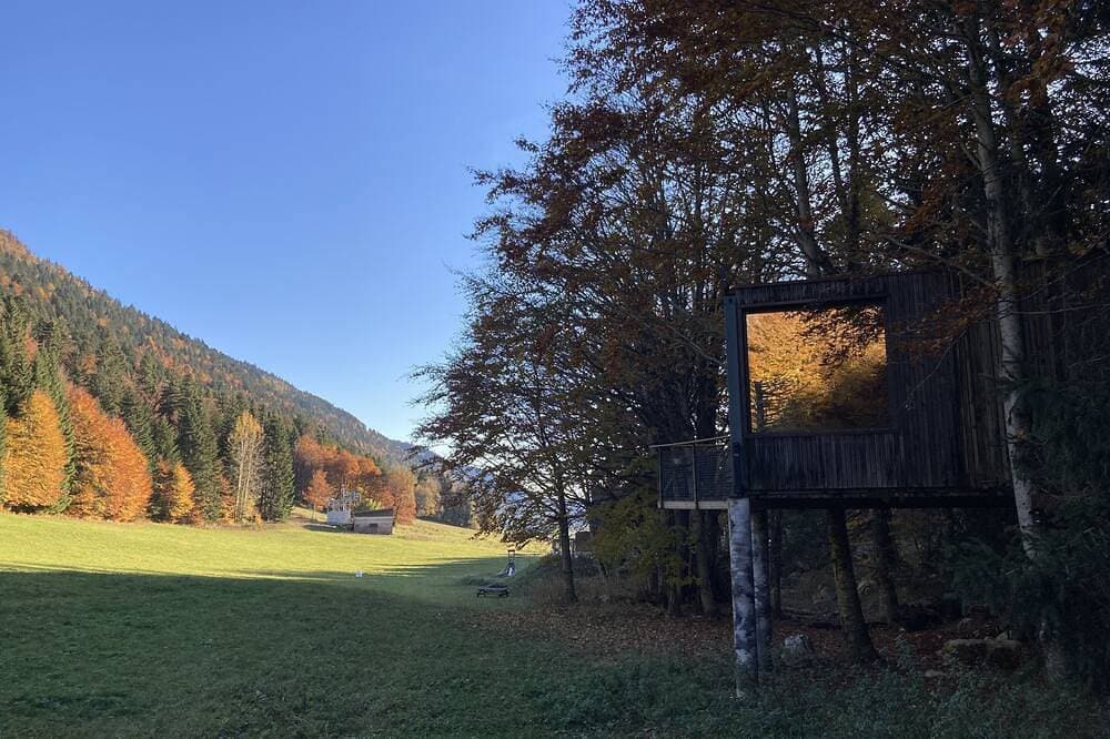 Foto 11 von 30: Kabine-Familie-Ensuite mit Dusche-Blick auf den Wald