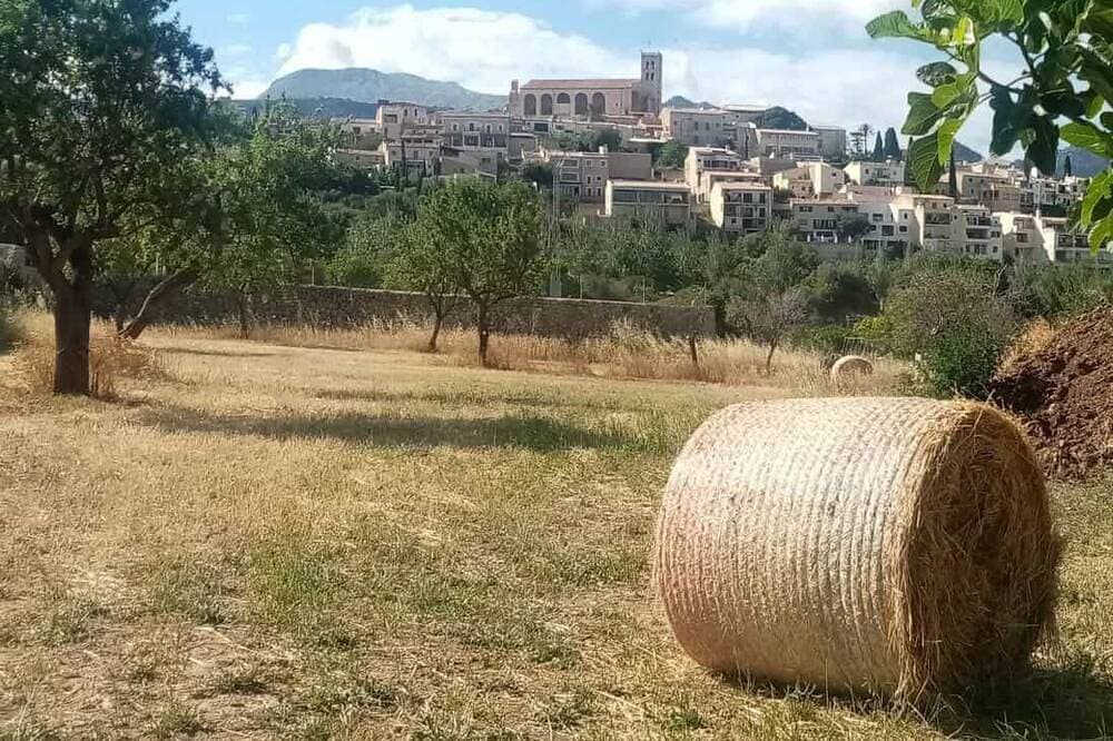 Foto 13 von 25: Finca Ca'n Pereó - With private pool at the foot of the Tramuntana (Selva)