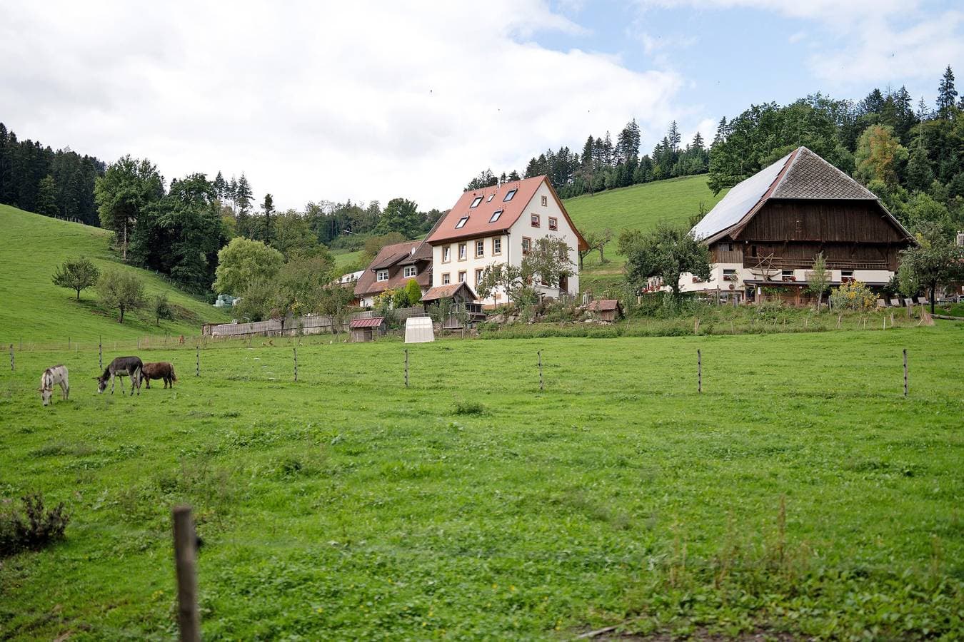 Ruhbauernhof 1