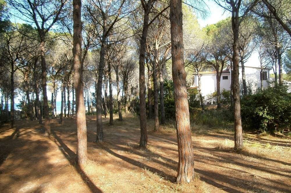 Foto 8 von 30: Oleandro Apartment, erste Reihe, nur wenige Schritte vom Strand entfernt (4 Sitze)