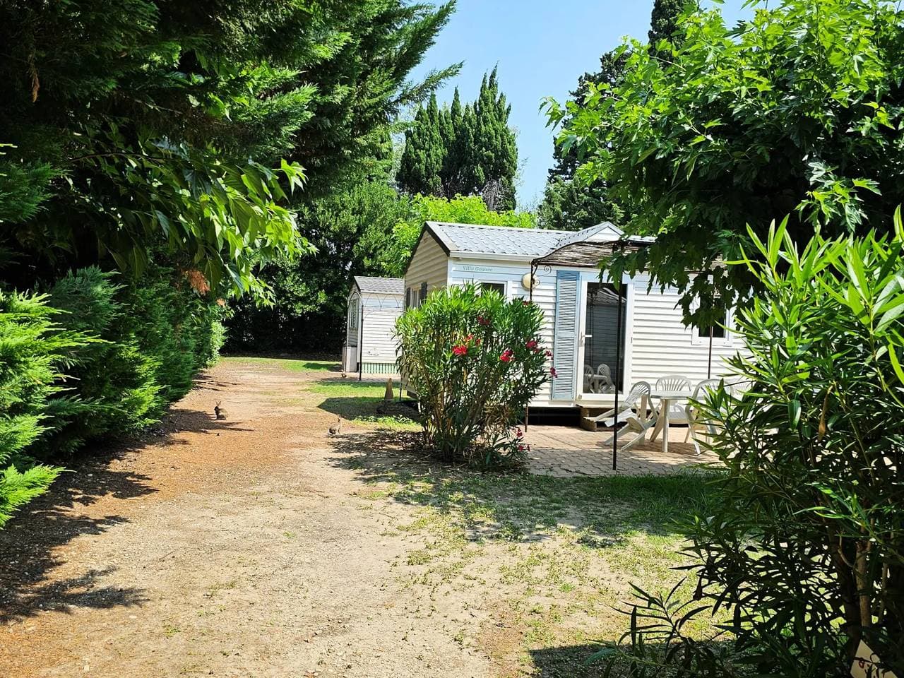 Foto 6 von 28: Zelt Moorea 5,5m² 1 zimmer - ohne Sanitäranlagen 2 Personen