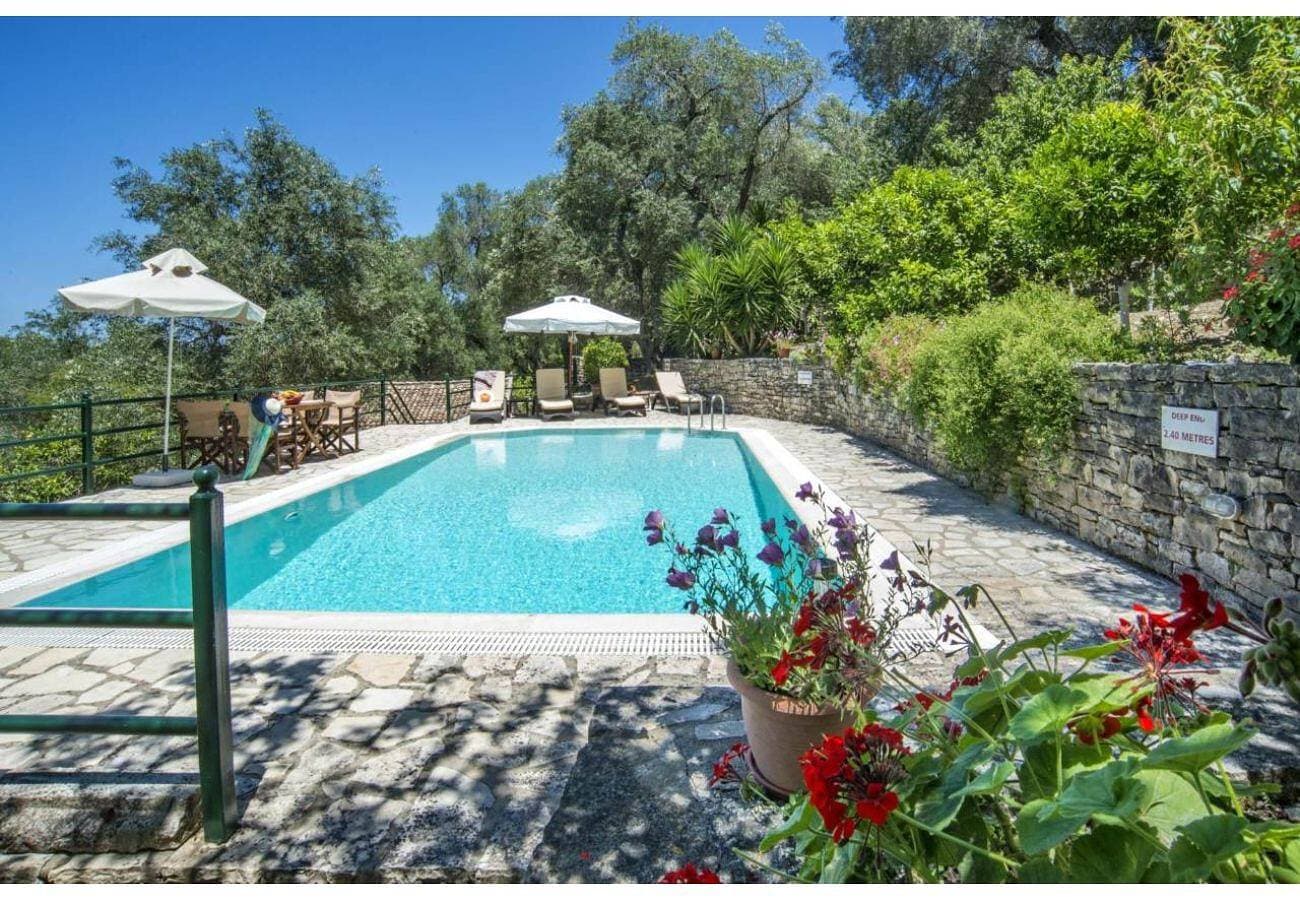 Villa Dendro 1