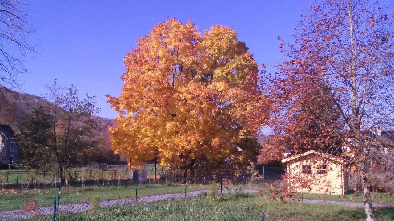 Foto 12 von 48: Chalet