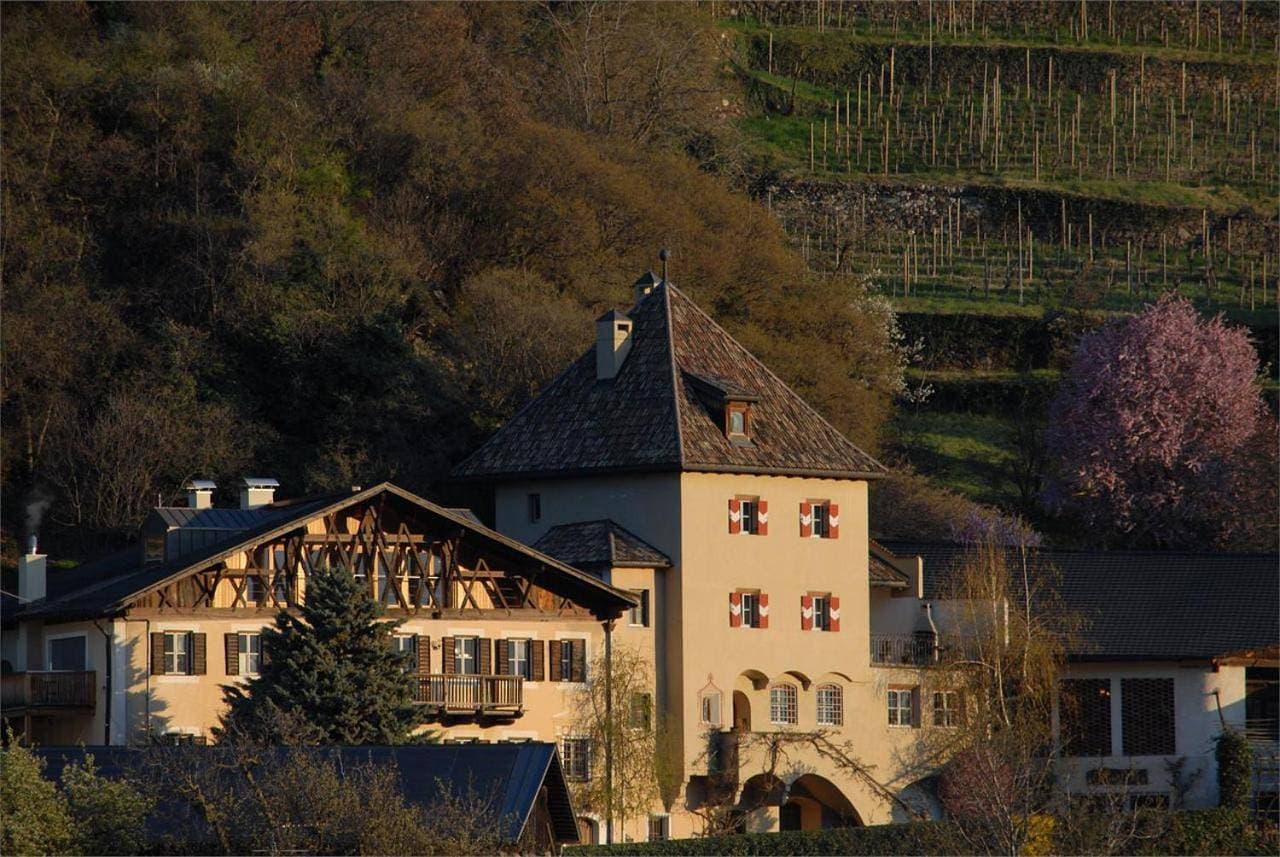Weingut Köfelgut - Turris Vini 1