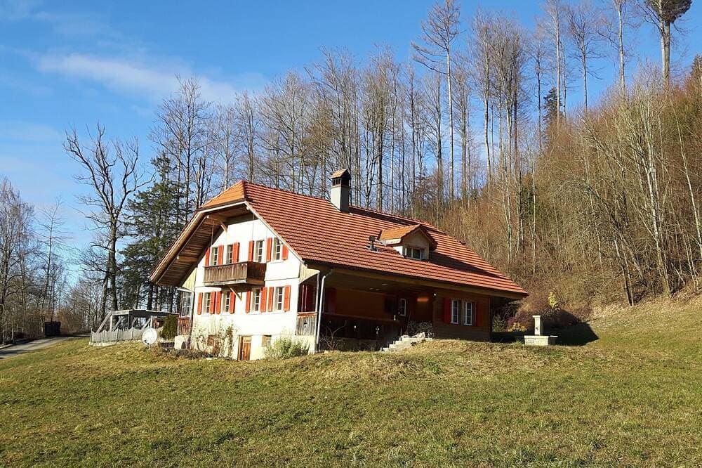 Foto 10 von 18: FeWo Südhang