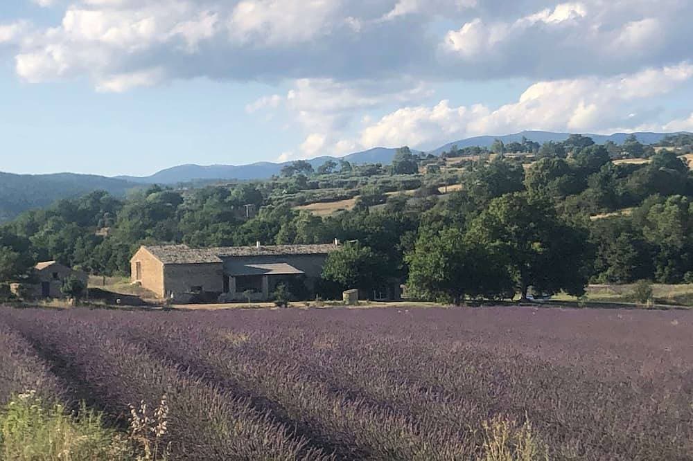 Foto 10 von 18: Quiet little cottage in the middle of lavender fields