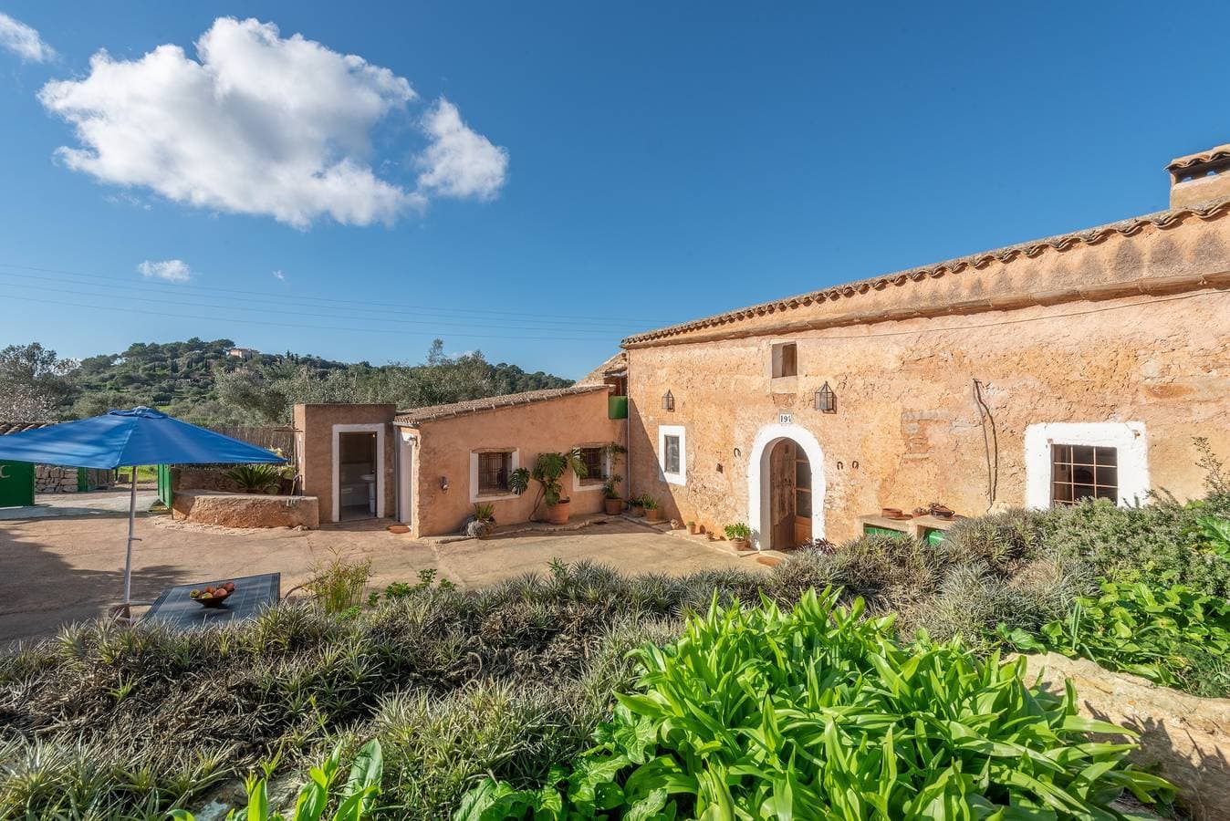 Can Bonjesus 1