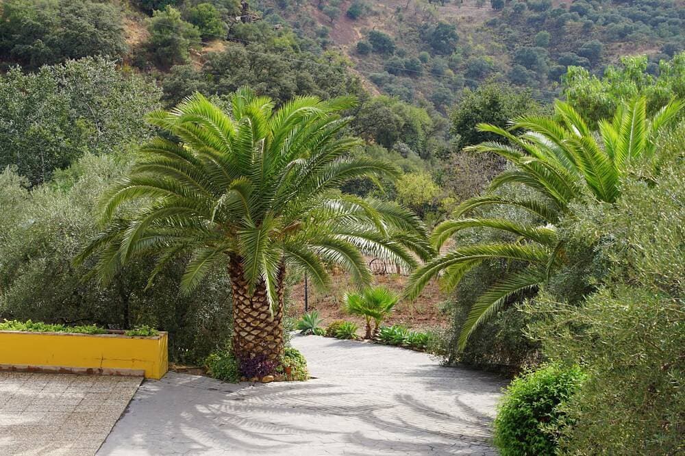 Foto 13 von 30: Ideal für Familien. Privates Schwimmbad. Andalusisches Haus Ganz in der Nähe von Málaga