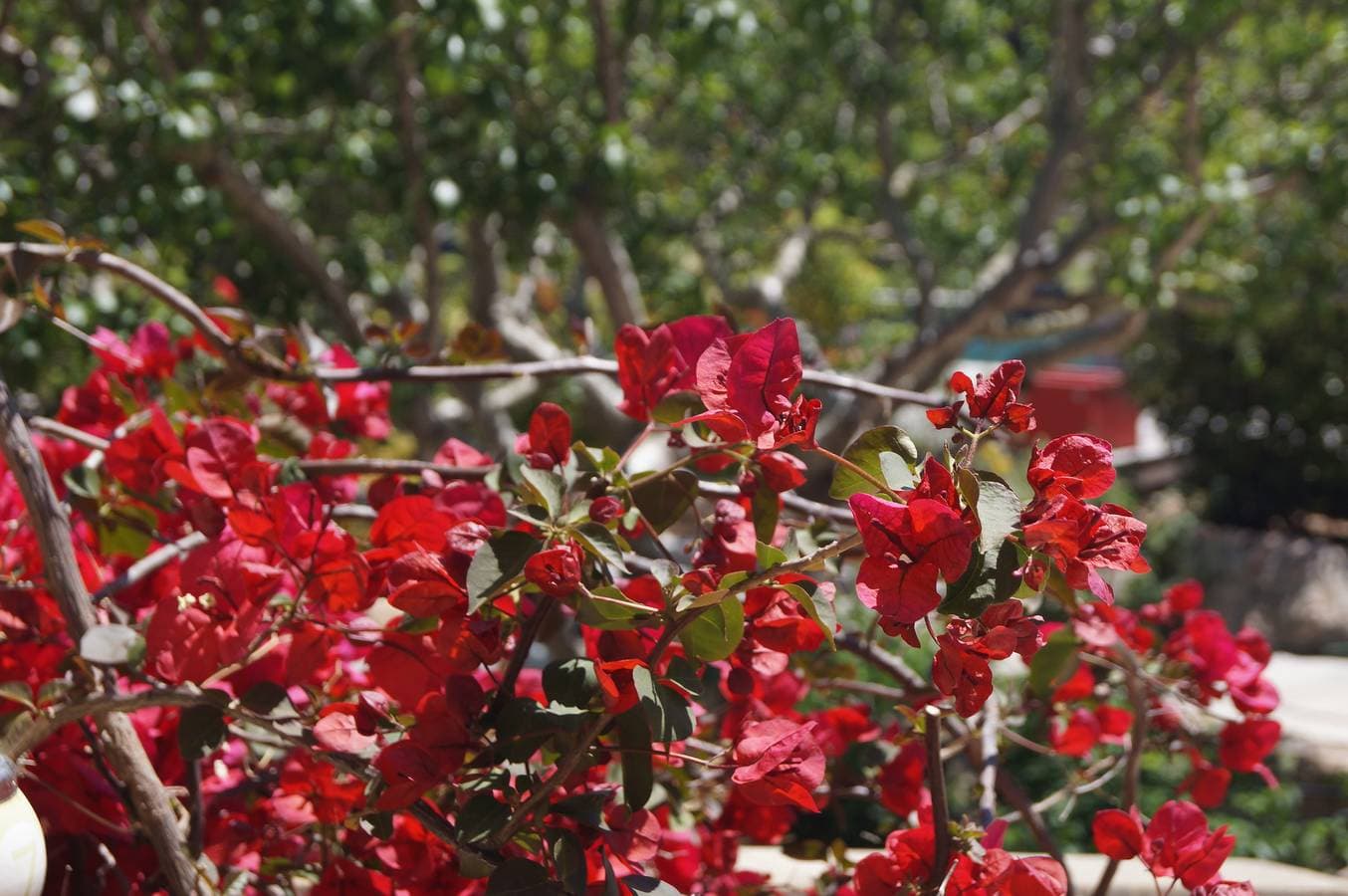 Foto 11 von 27: Les Jardins De Santa Giulia - Charmantes B&B