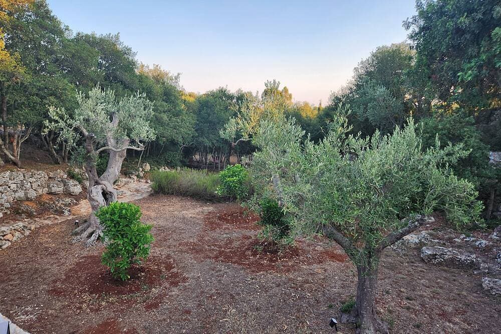 Foto 11 von 30: Paradiso Pajare, a traditional Salento trullo designed with modern amenities.