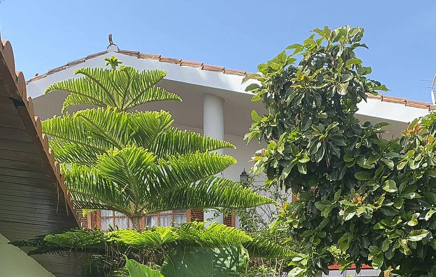 Foto 4 von 19: Entspannendes Apartment mit Pool und Terrasse in der Nähe des Stadtzentrums von Firgas