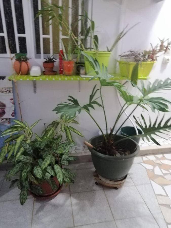 Foto 8 von 10: Ferienwohnung für 2 Personen mit Terrasse