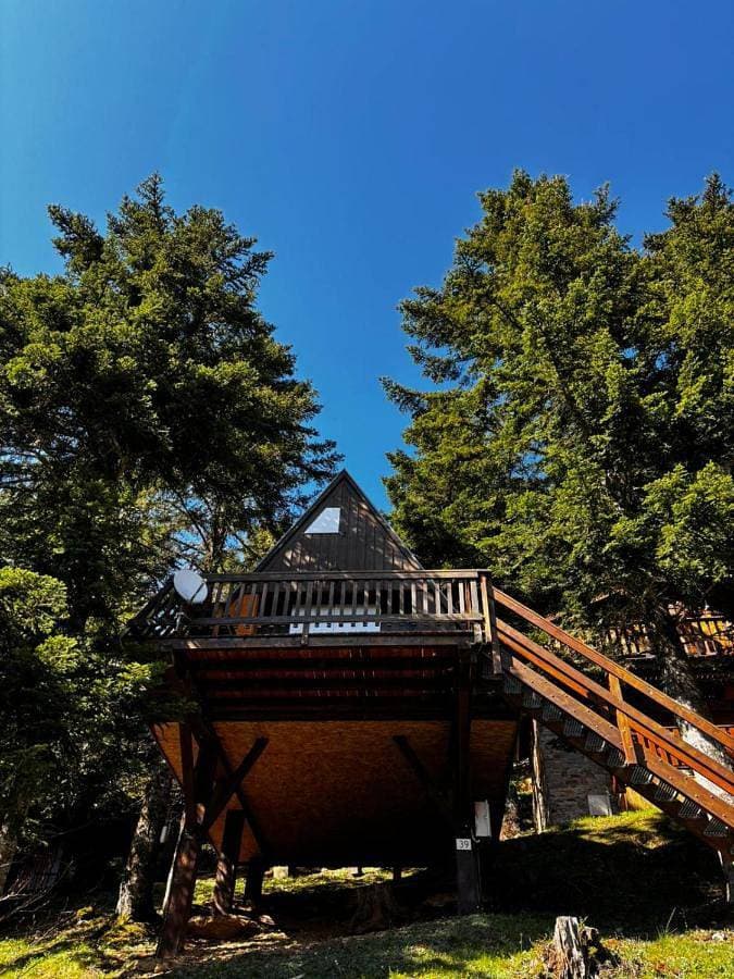 Chalet de montagne 1