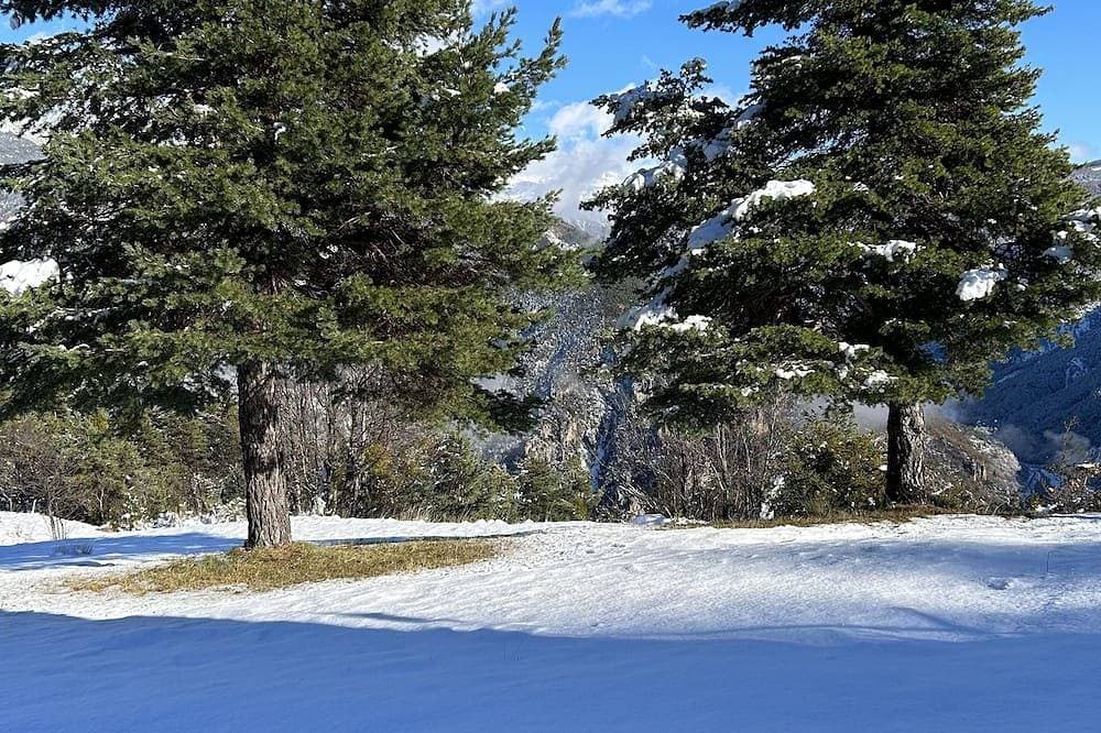 Foto 9 von 14: Mercantour retreat in a serene private  12.5 acres of land