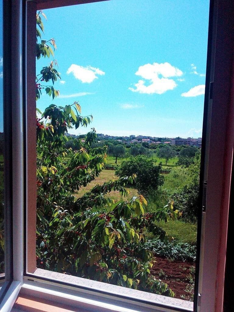 Foto 12 von 31: Ferienwohnung mit Balkon
