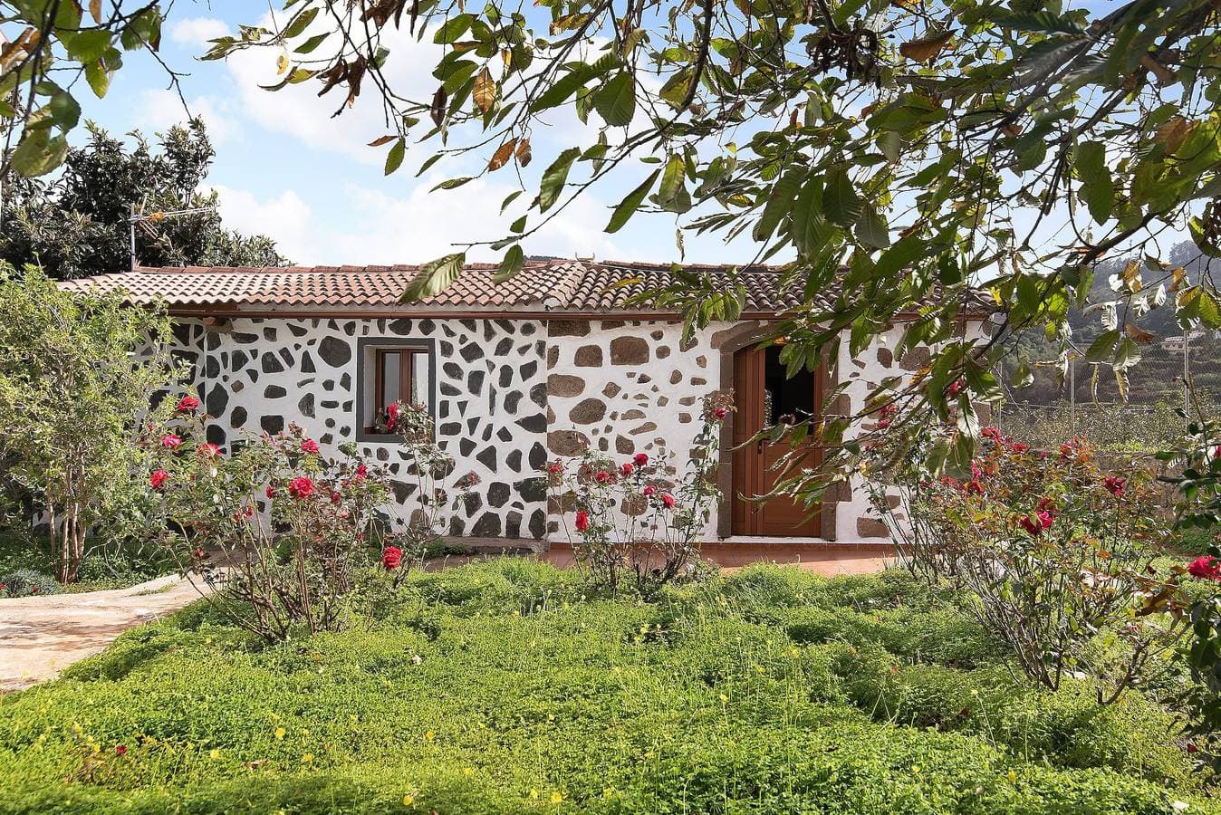 La Casita de Abuela Paula 1