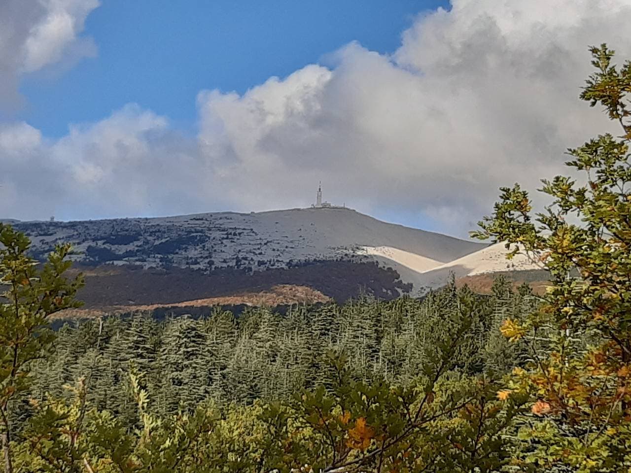 Foto 2 von 13: Das Chalet VertVentoux
